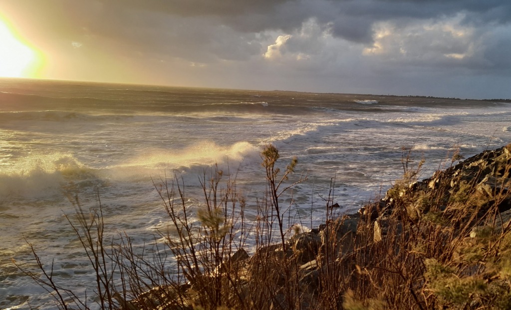 la Couarde les plages