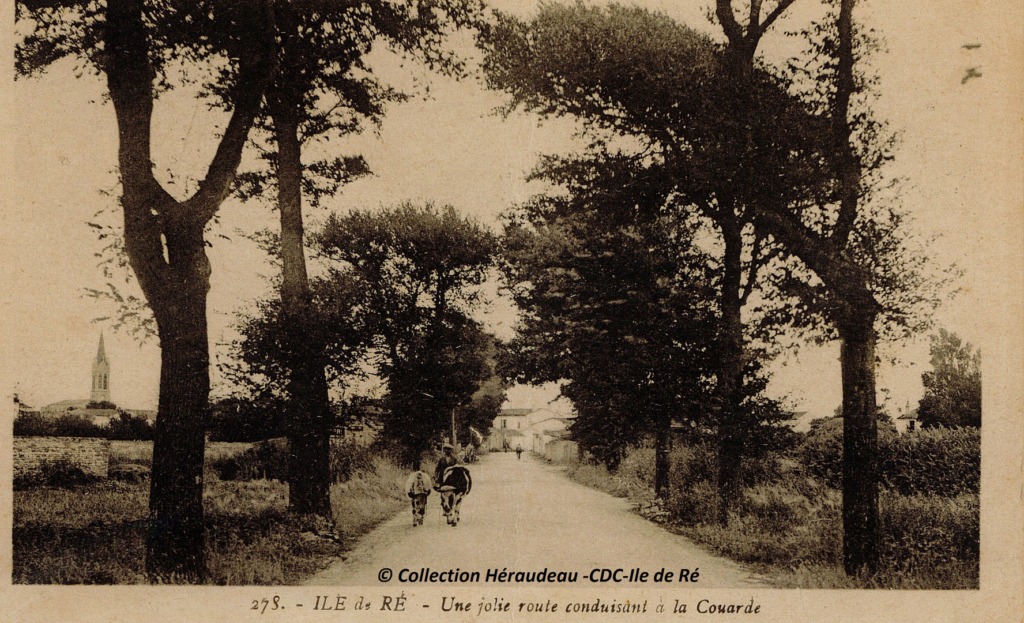 le village 8