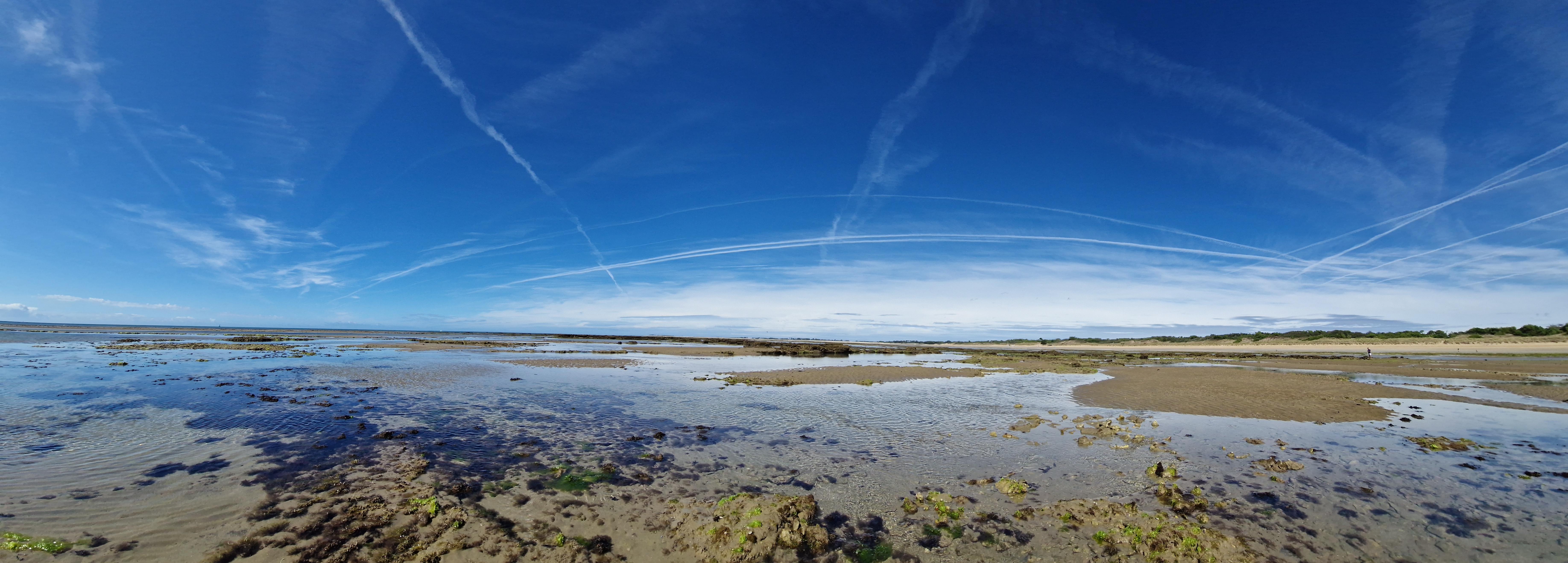 Marée basse aux Brardes
