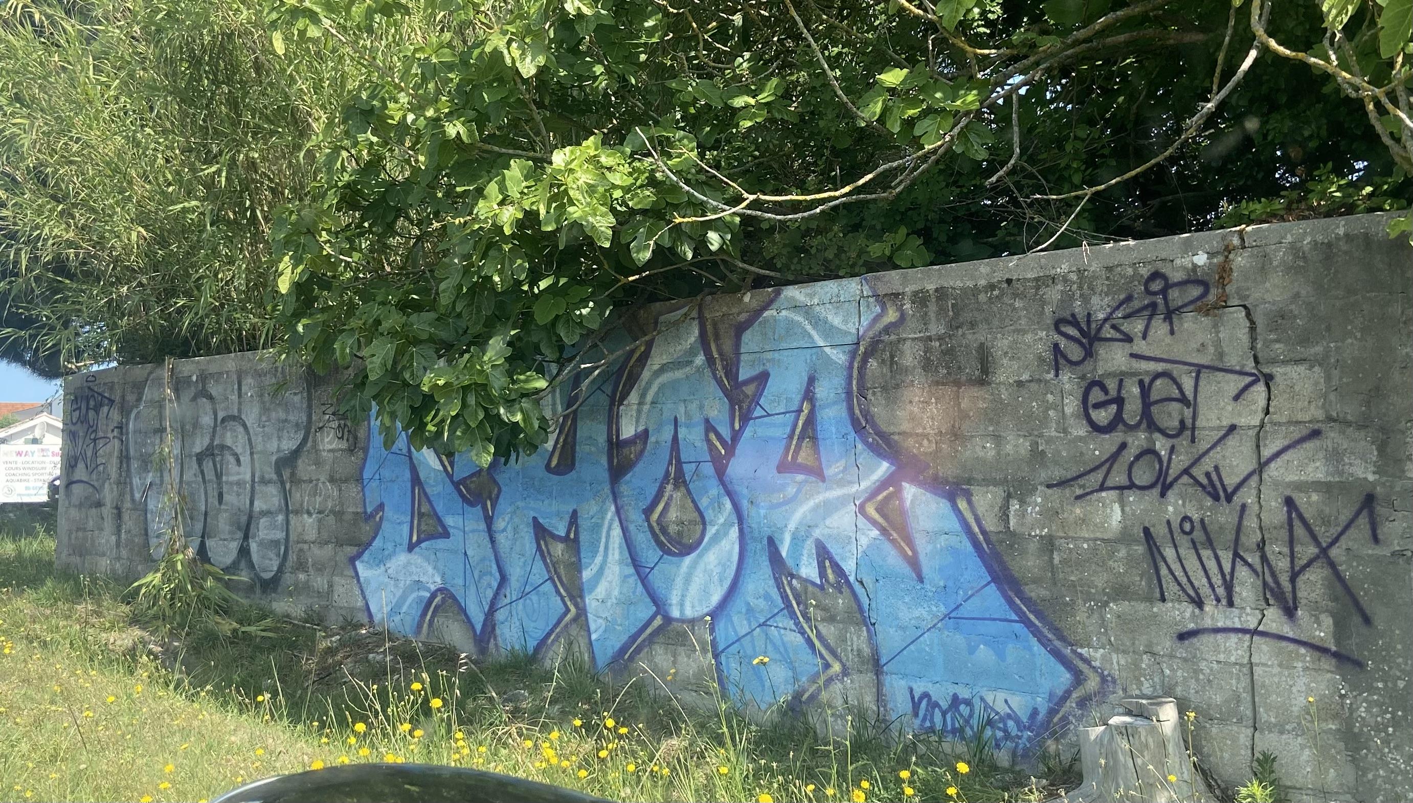 TAGS couardais jamais effacés 